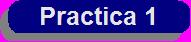 Practica 0